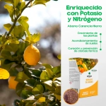 Quelato de hierro plantas 1 kg SIPCAM