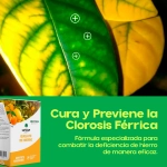 Quelato de hierro plantas 1 kg SIPCAM