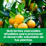 Quelato de hierro plantas 1 kg SIPCAM