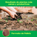 Quelato de hierro plantas 1 kg SIPCAM