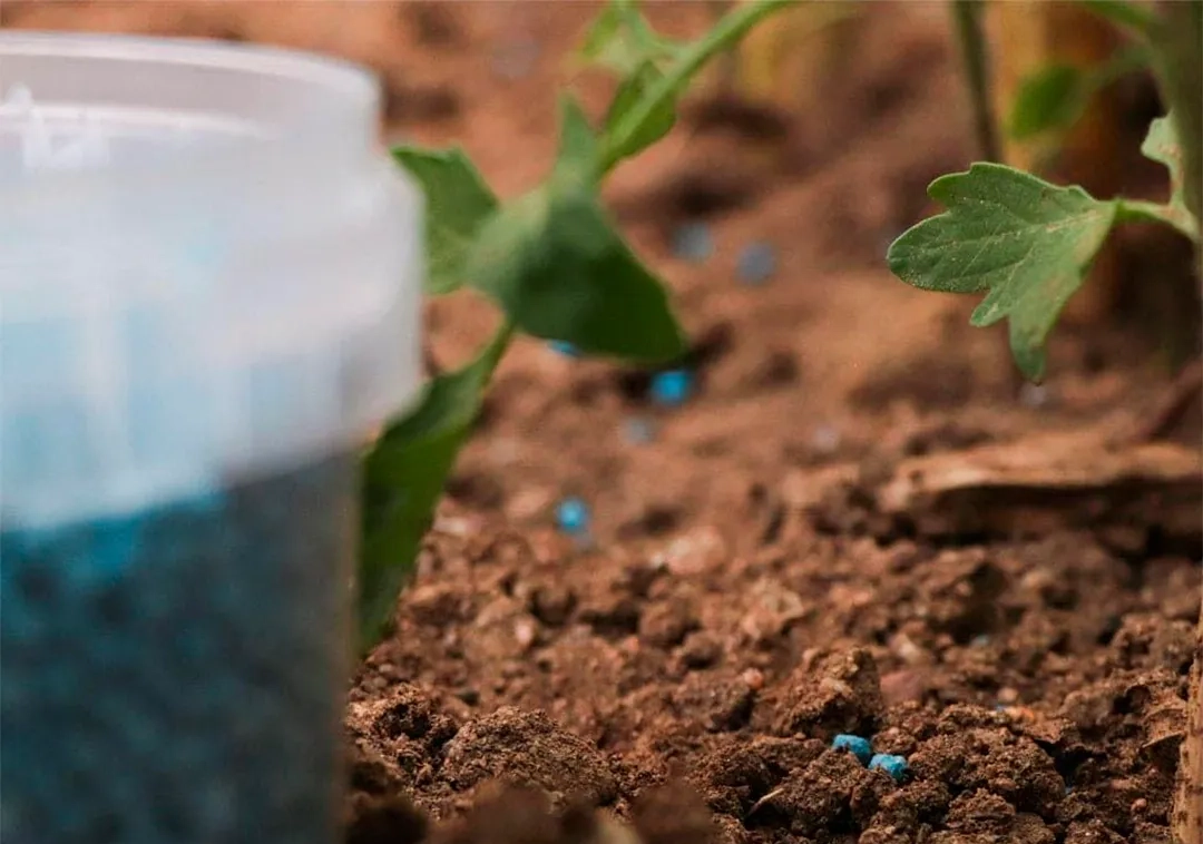 Fertilizante Azul Rocalba Abono Universal