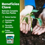 Fertilizante Azul Rocalba Abono Universal