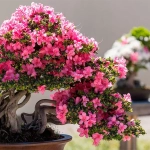 Abono Foliar BONSAIS Massó Garden Spray 250 ml