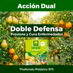 Otumba Massó Fungicida Frutales Sistémico 15 ml