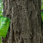 Ynject GO Frondosas Dispositivo de Endoterapia 45 ml