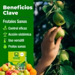 Otumba Massó Fungicida Frutales Sistémico 15 ml