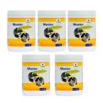 Pasta Cicatrizante para Árboles Master 1 kg