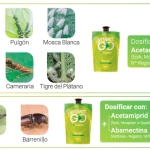 Ynject GO Frondosas Dispositivo de Endoterapia 45 ml