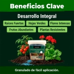 Fertilizante Azul Rocalba Abono Universal