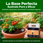 Fibra de Coco Rocalba Happy Huerto 3x650 g