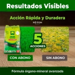 Abono Césped 5 Acciones Massó Garden 2 kg - 6 kg Reverdeciente