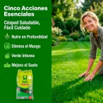Abono Césped 5 Acciones Massó Garden 2 kg - 6 kg Reverdeciente