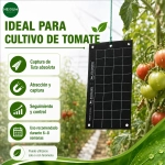 Trampa Cromática Negra 40 x 25 cm Econex