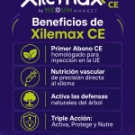 Xilemax CE HPCX Dispositivo Nutricional de Endoterapia 69 g