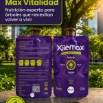 Xilemax CE HPCX Dispositivo Nutricional de Endoterapia 69 g