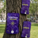 Xilemax CE HPCX Dispositivo Nutricional de Endoterapia 69 g