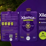 Xilemax CE HPCX Dispositivo Nutricional de Endoterapia 69 g