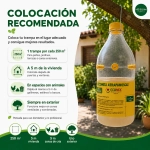 Trampa Atrapamoscas en botella desechable Nexum Market unidad 2 L