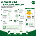 VelutinaTrap Trampa Avispas + Atrayente VelutinaTrap Atrayente Avispas kit unidad