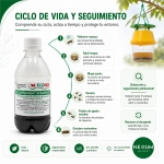 Atrayente VelutinaTrap Atrayente Avispas líquido 190 ml