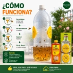 Kit Trampa DIY + Atrayente para avispas 400 ml unidades