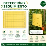 Trampa Cromática Amarilla adhesiva 20x25 unidad