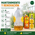 Kit Trampa DIY + Atrayente para avispas 400 ml unidades