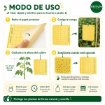 Trampa Cromática Amarilla adhesiva 20x25 unidad