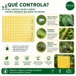 Trampa Cromática Amarilla adhesiva 20x25 unidad