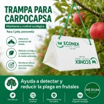 Trampa Carpocapsa + Feromonas 40 días Econex, unidad