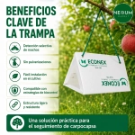Trampa Triangular Blanca Desechable Econex