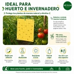 Trampa Cromática Amarilla adhesiva 20x25 unidad