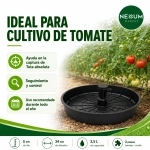 Trampa de Anillo de Agua + Feromonas 60 días para Tuta Absoluta