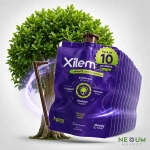 Xilemax CE HPCX Dispositivo Nutricional de Endoterapia 69 g
