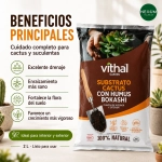 Substrato Cactus con Humus Bokashi 2 L