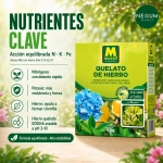 Massó Garden Quelato de Hierro Granulado 50 g y 500 g