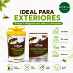 Kit Trampa para Avispas y Avispones con 3 Atrayentes de 50 ml