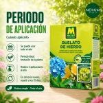 Massó Garden Quelato de Hierro Granulado 50 g y 500 g
