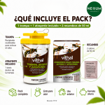 Kit Trampa para Avispas y Avispones con 3 Atrayentes de 50 ml
