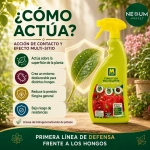Fungicida Polivalente Massó Protect Spray 750 ml
