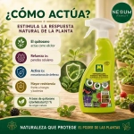 Enfermedades Hongos y Bacterias Spray 750 ml