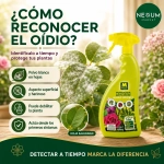 Fungicida Anti-Oídio Massó Protect Spray 750 ml