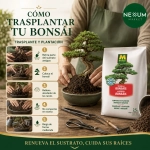 Sustrato Bonsáis Massó Garden 2,5 L