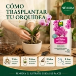 Sustrato Orquídeas Massó Garden 2,5 L
