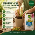 Sustrato Plantas Carnívoras y Acidófilas Massó Garden 2,5 L