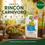 Sustrato Plantas Carnívoras y Acidófilas Massó Garden 2,5 L