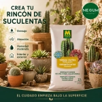 Sustrato Cactus y Suculentas Massó Garden 2,5 L