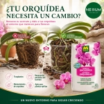 Sustrato Orquídeas Massó Garden 2,5 L