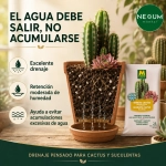 Sustrato Cactus y Suculentas Massó Garden 2,5 L