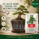 Sustrato Bonsáis Massó Garden 2,5 L